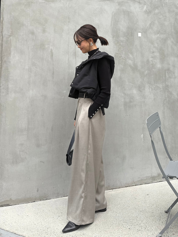 ツイルタックパンツ / グレージュ